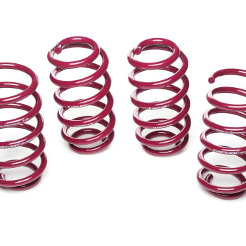 Audi A6, type 4B, Avant, quattro (03.1998 - 06.2004) Sport Lowering Springs 40 / 40 mm, up to 115kg on the front axle, 950090